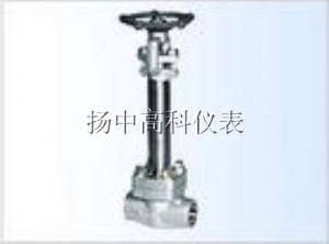 YZFM1-1 MQ61SF-4.0、6.4、10C、P、R型承插焊式球閥
